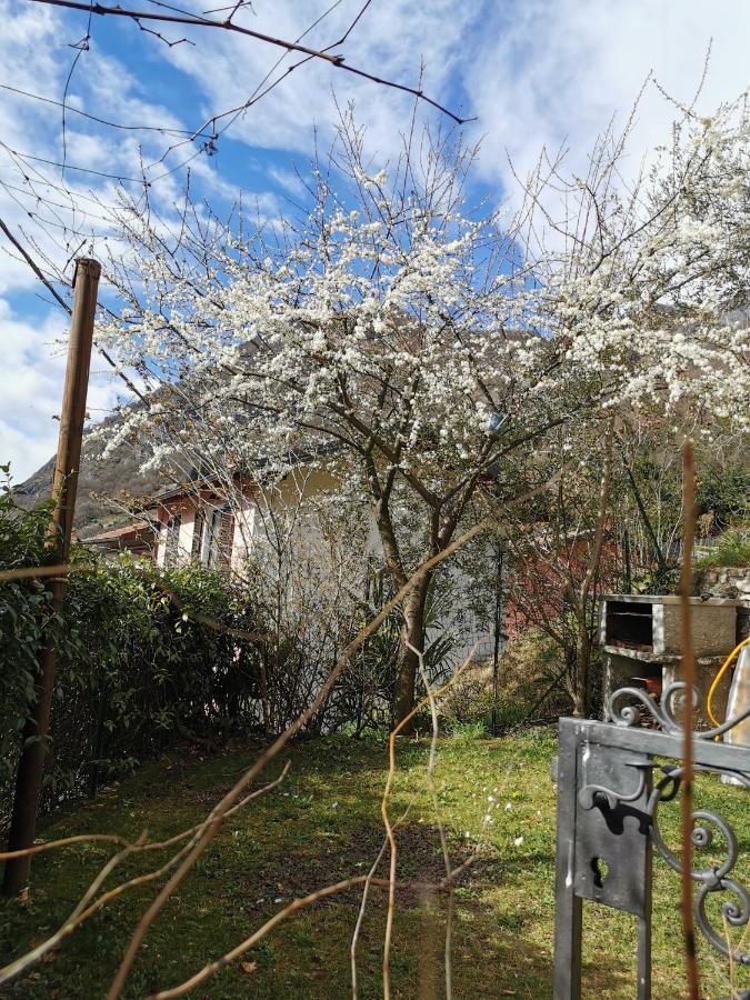 Casa Vista Lago E Giardino Porlezza Zewnętrze zdjęcie