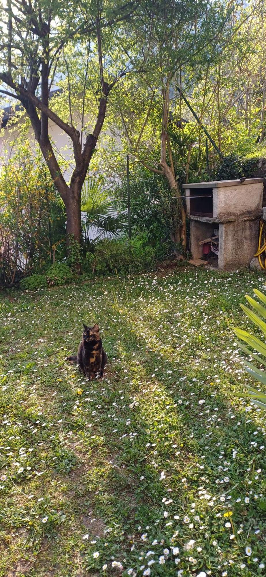 Casa Vista Lago E Giardino Porlezza Zewnętrze zdjęcie